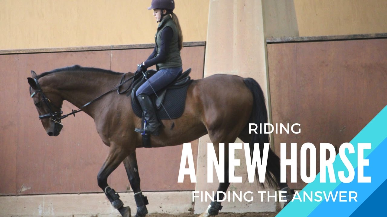 RIDING DIFFERENT OR NEW HORSES | FINDING THE ANSWER