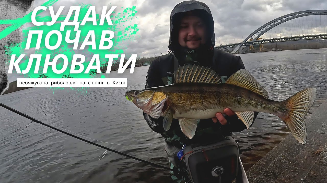 НЕОЧІКУВАНА РОЗДАЧА СУДАКА. ПЕРШІ Судаки на набережній Києва
