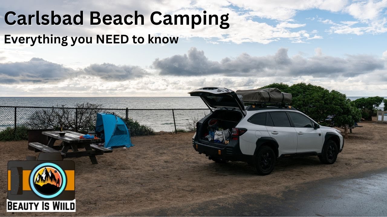 Beach Camping in San Diego: South Carlsbad State Beach Campground Guide