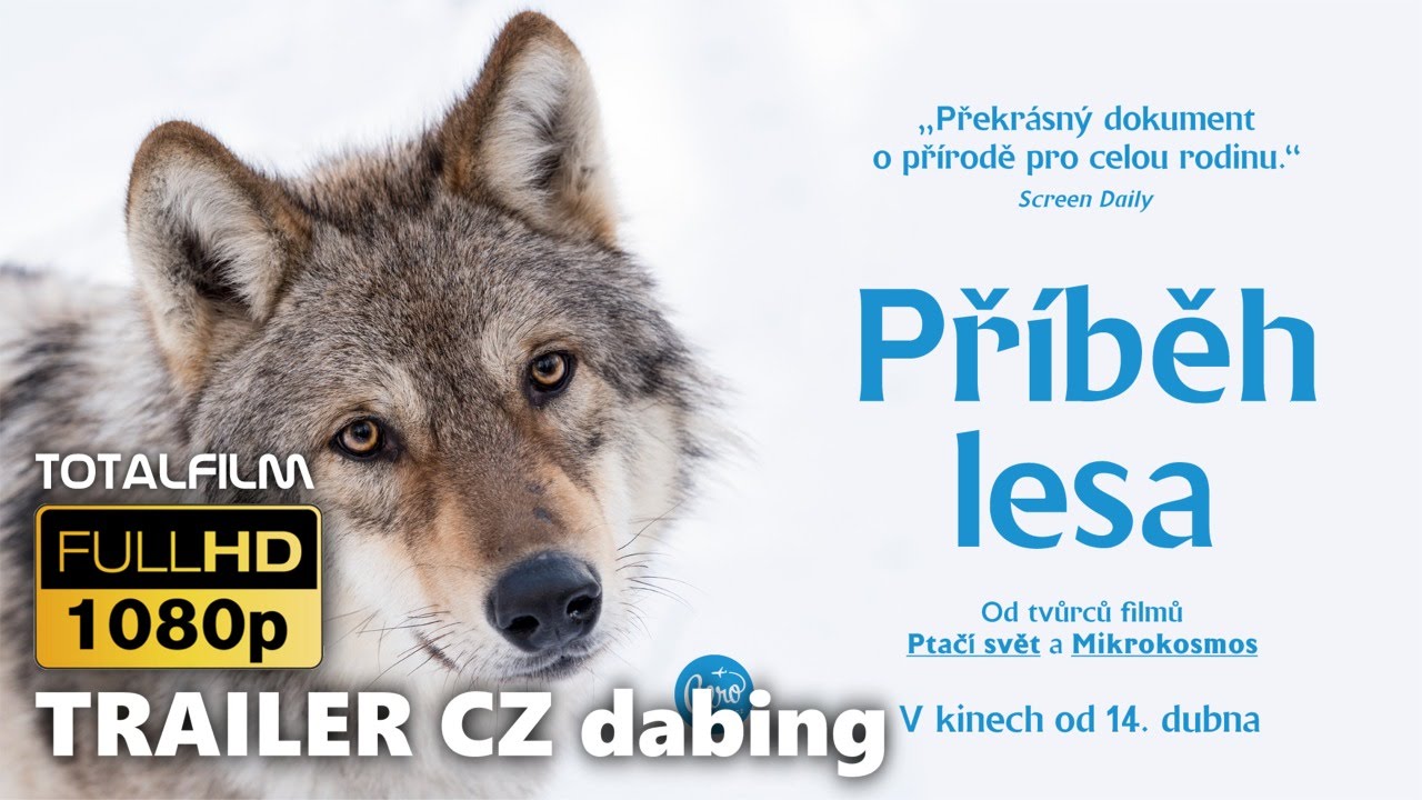 Příběh lesa (2015) CZ HD dabing TRL