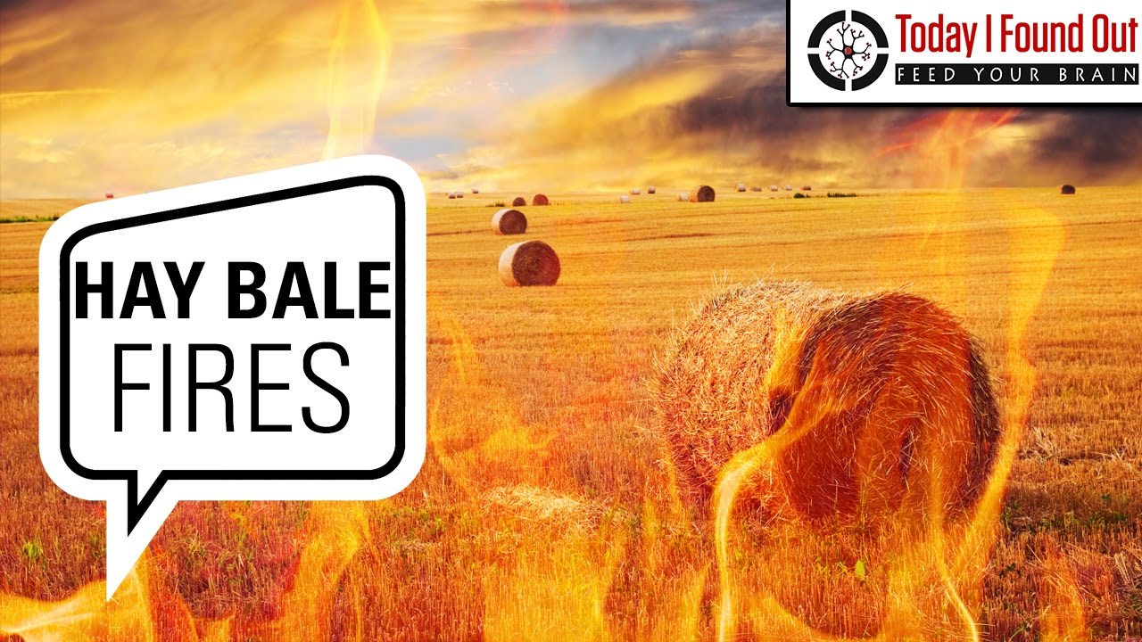 Why Does Moist Baled and Stacked Hay Spontaneously Catch Fire?
