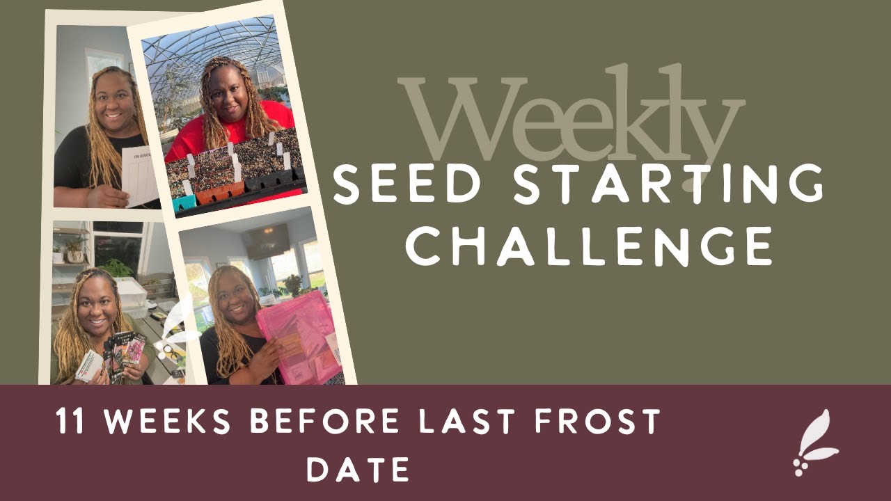 Weekly Seed Starting Challenge| 11 Weeks Before Last Frost Date