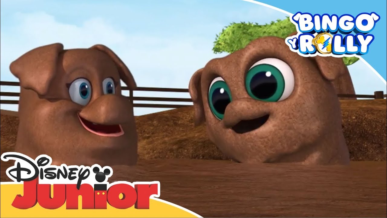 Bingo y Rolly: Momentos Mágicos - Diversión en la granja | Disney Junior Oficial