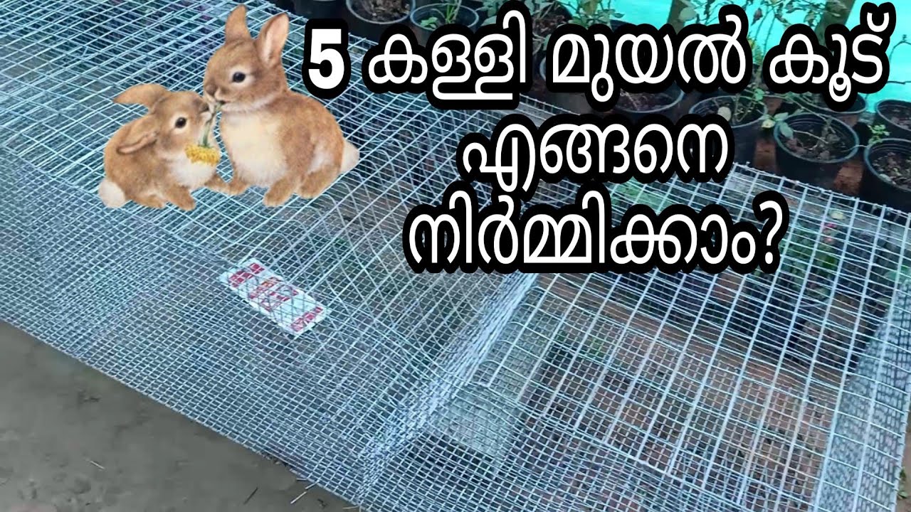മുയൽകൂട് നിർമ്മാണം | rabbit cage making malayalam | muyal koodu nirmanam | how to make rabbit cage |