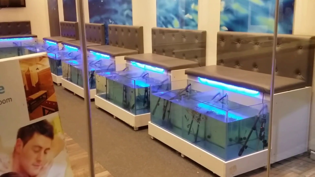 Fish Spa Treatment for Feet! (Athens, Greece)