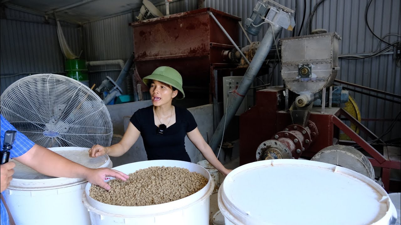Chi 1 tỷ sắm dàn máy ép cám nổi cho cá, liệu có thành công hay không? Chia sẻ của người trong cuộc