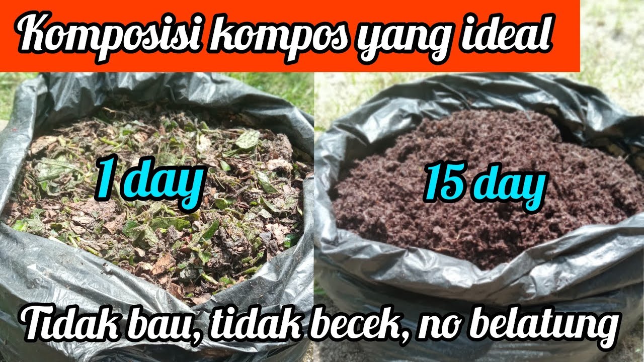 Mudah!! Begini memanfaat kan kantong plastik membuat kompos super dari limbah rumah tangga tanpa bau