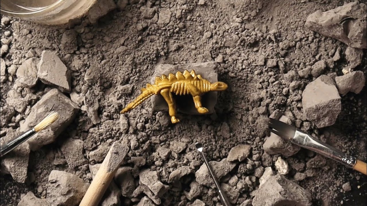 ASMR Dinosaur Fossil Excavation 공룡 화석 발굴하기 ⛏ 소리가 잡음 없이 진짜 선명하게 들린다...