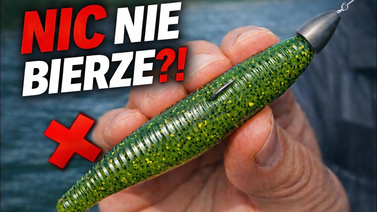 Molix Stick na Texas Rig – ostatnia deska ratunku