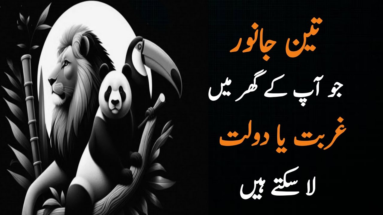 3 Qisam K Janwar Gar Main Ghurbat Latey Hain Aur 3 Qisam K Janwar Gar Main Dolat Latey Hain