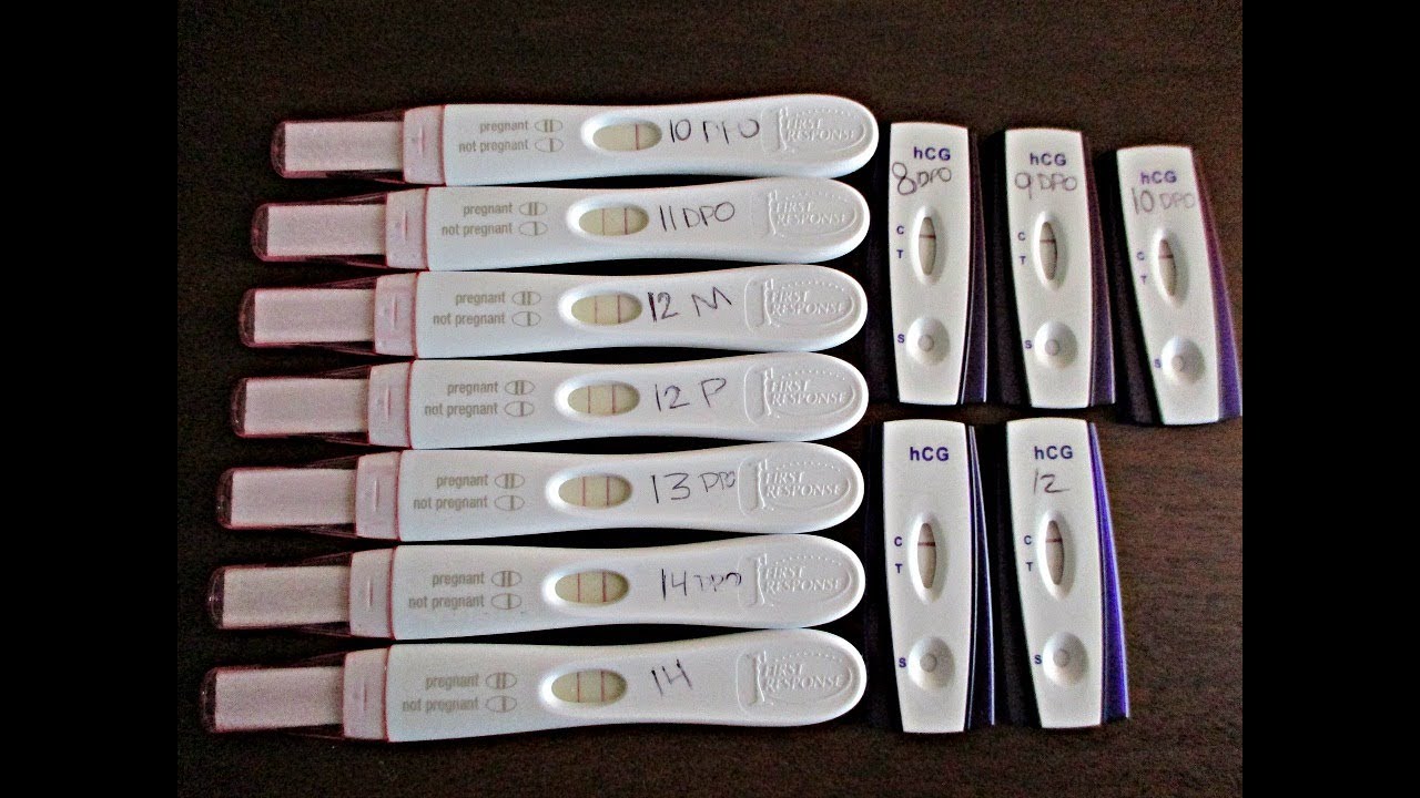 Pregnancy Test Results: Line Progression 8-14 DPO