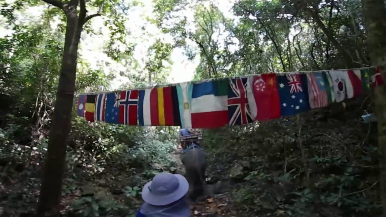 Riding Elephant in 360 Degree