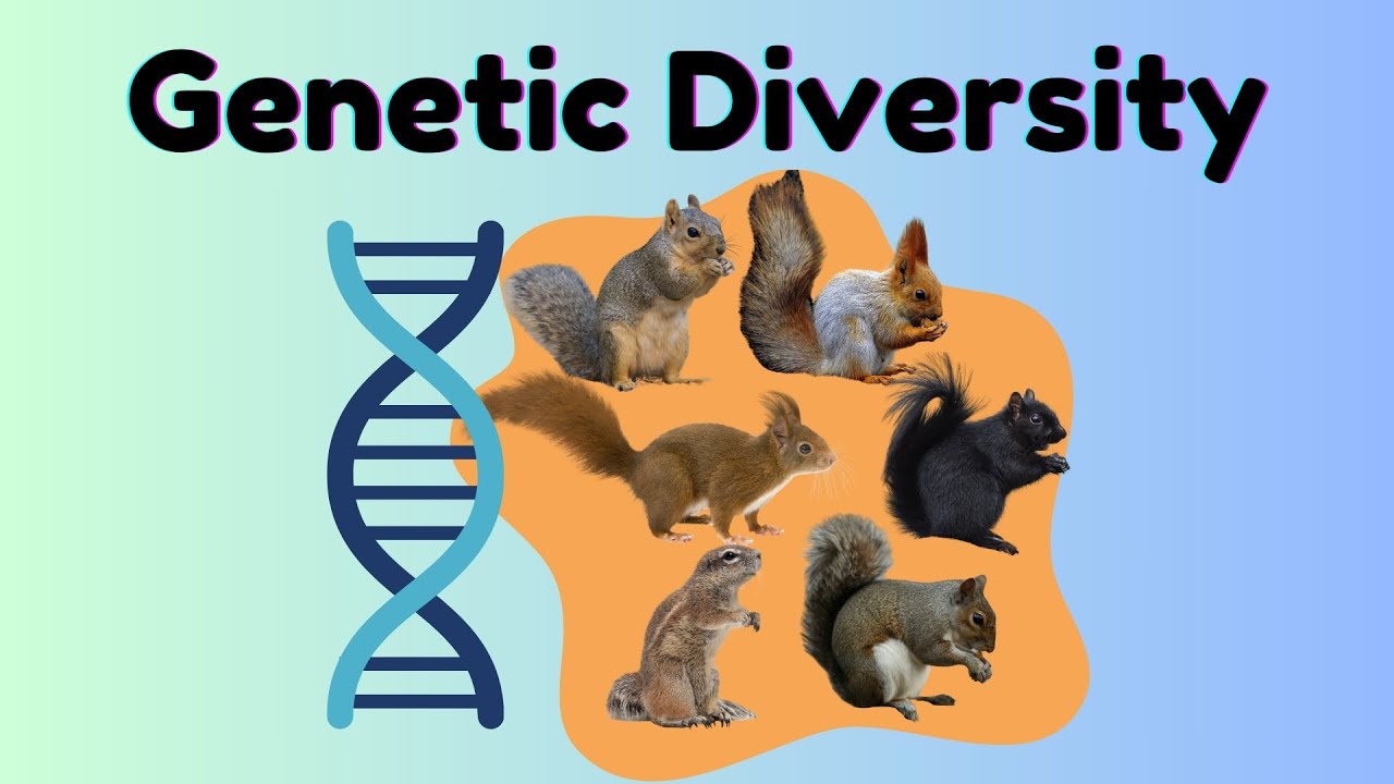 Genetic Diversity Explained 🧬 | Why It&rsquo;s Vital for Species Survival and Ecosystem Health