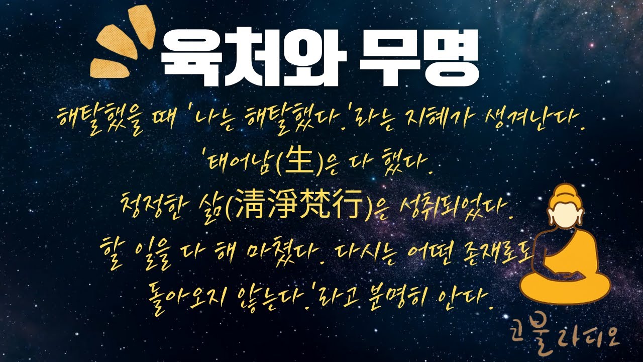 육처와 무명 / [심우도 제1장] /🪷코불 라디오(듣는 불교) / 해탈열반에 대한 자세한 설명과 실천적 수행 / 불교 공부/1분 #좋은글 #지혜 #오디오북 #인생행복#명언