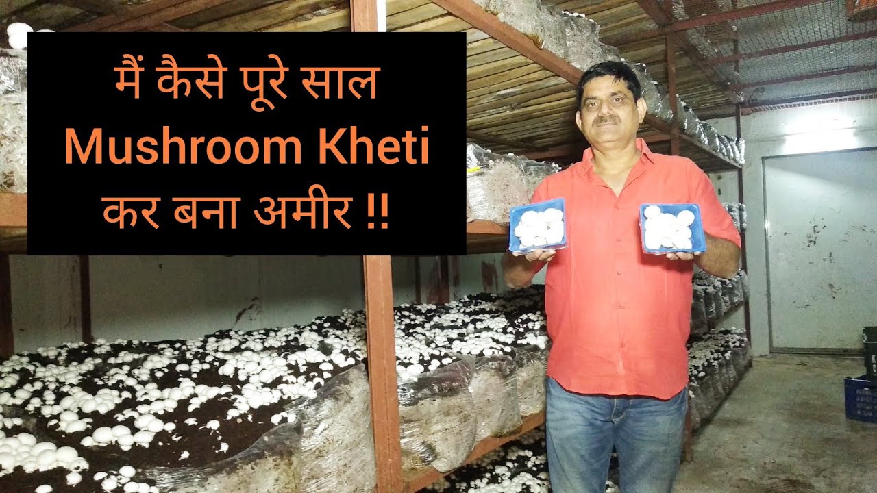 Mushroom की खेती से कोई भी कमा सकता है 20 से 30 हज़ार हर महीने || Successful Mushroom Farmer