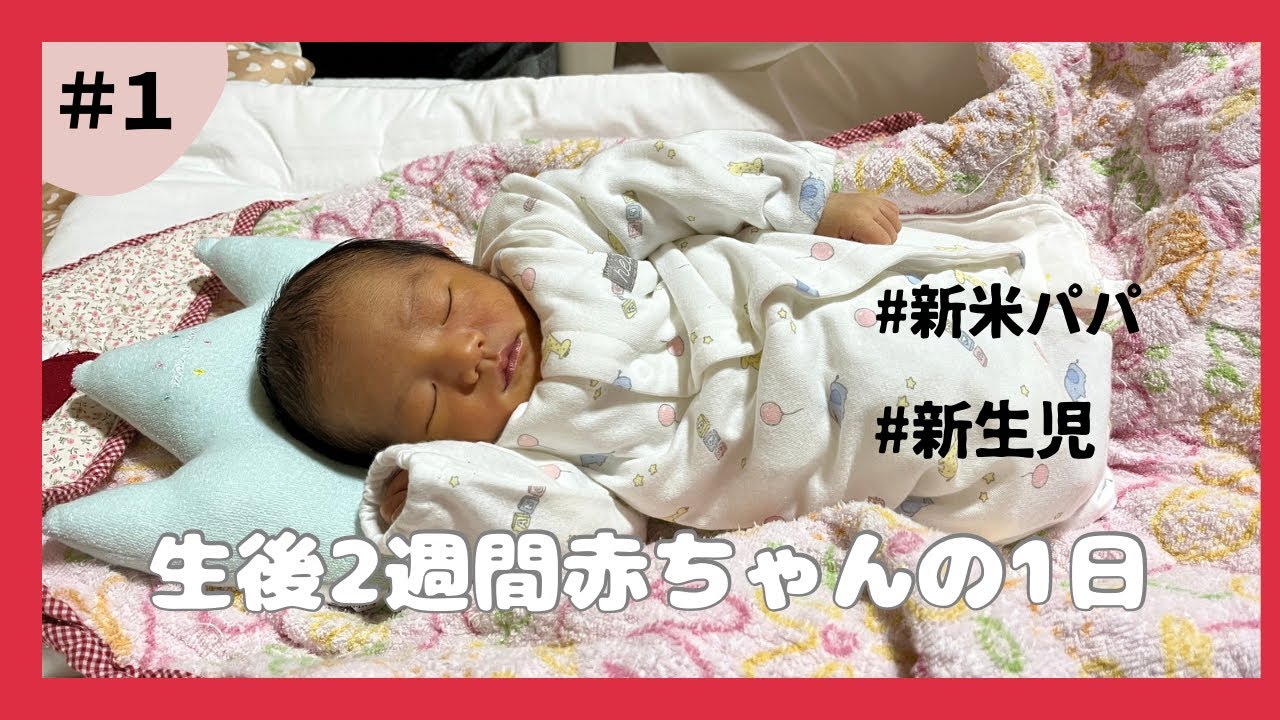 【新生児】生後2週間の赤ちゃんとの一日