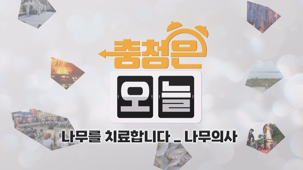 나무를 치료합니다 _ 나무의사 / KBS대전 20260212 방송