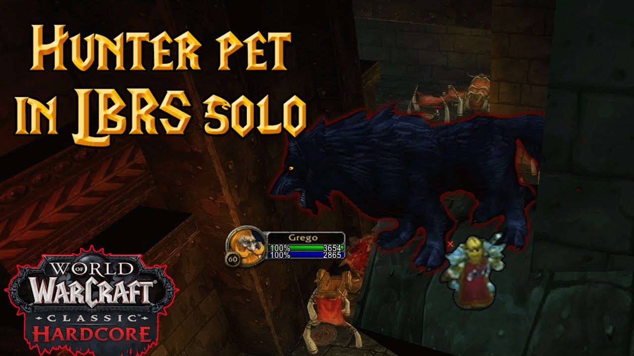 Hardcore Hunter Solo LBRS Pet Guide - WoW Classic