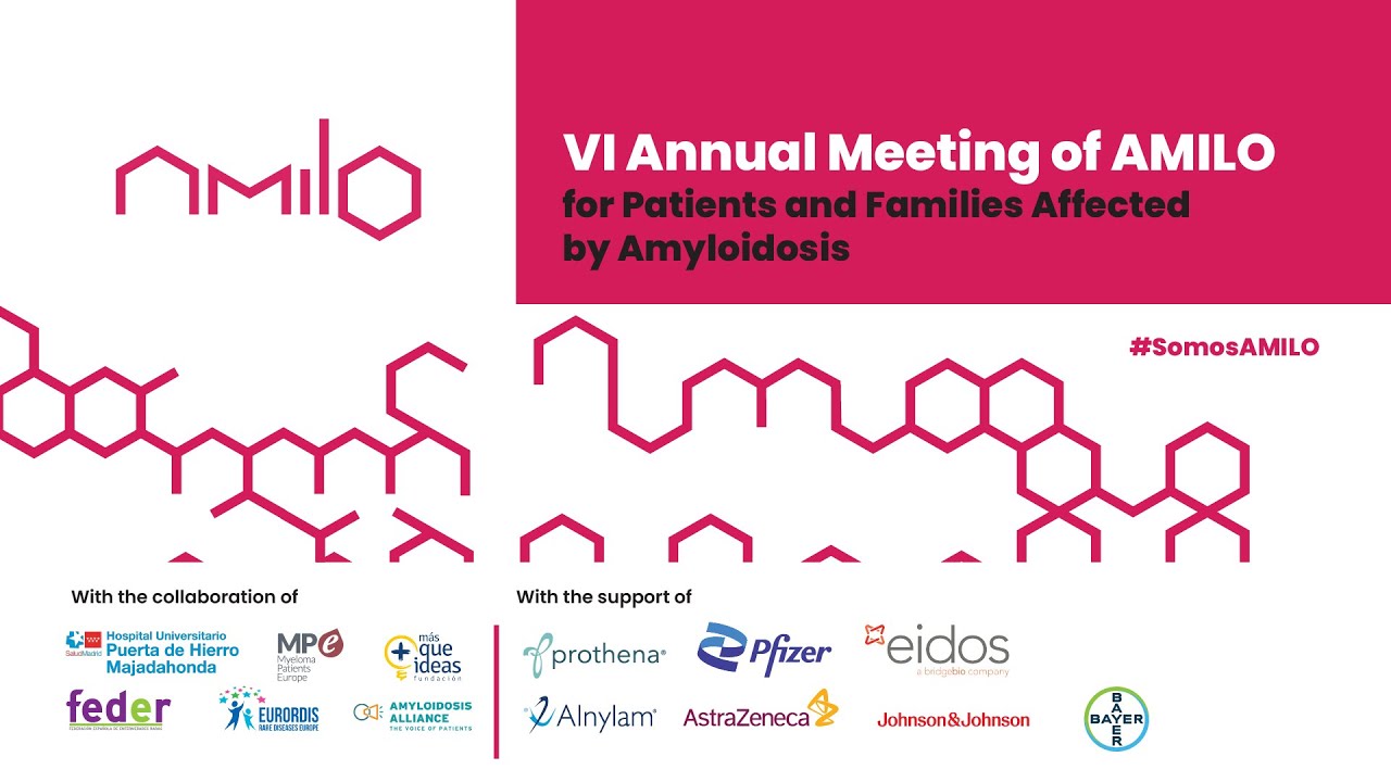 VI Annual Meeting of AMILO for Patients and Families Affected by Amyloidosis