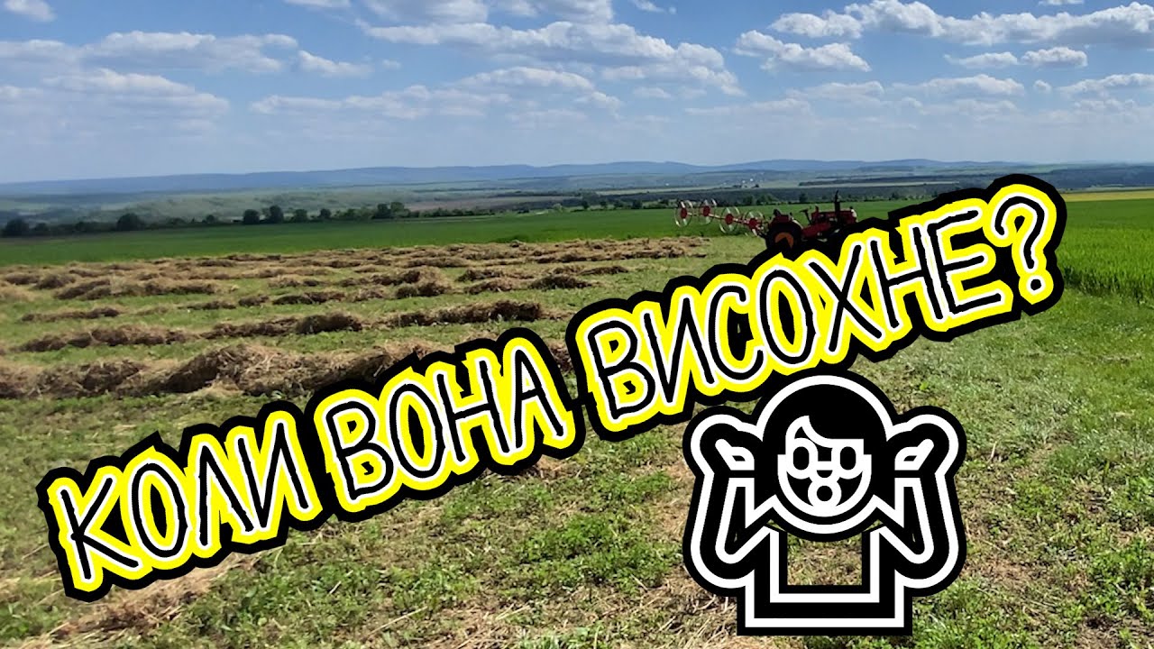 Згрібання першого покосу люцерни 2024. ☘    ІванКо,#IvanKo,#ІванКомпані,#Ivan&Kompany,#Iван&Компанія