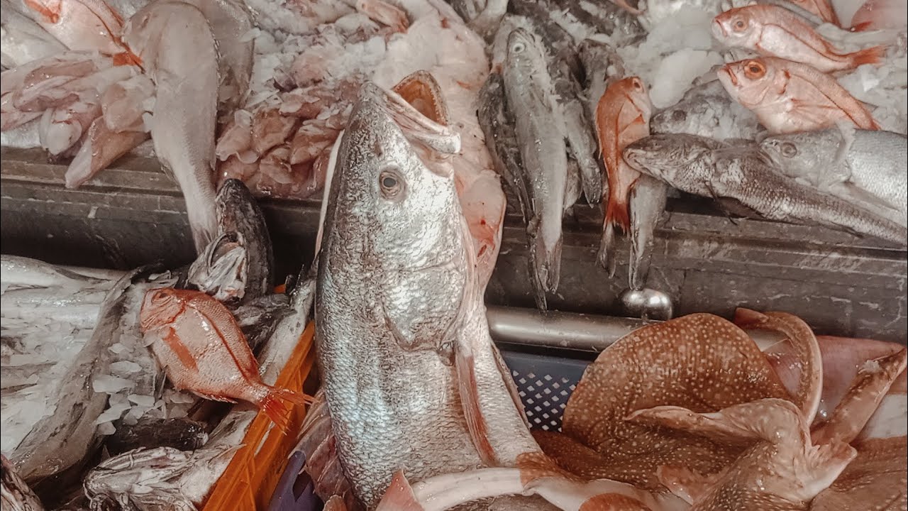 اسعد الله صباحكم بكل خير اليوم الخميس الول أيام رمضان الحوت عند عادل صويري الله اللهم بارك 🇲🇦🐟 