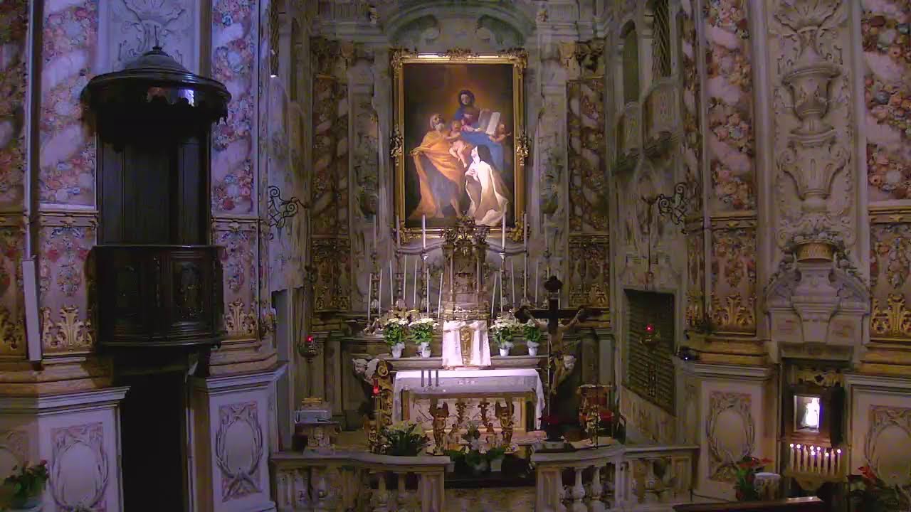 11-2-2026    B. V. Maria di Lourdes
