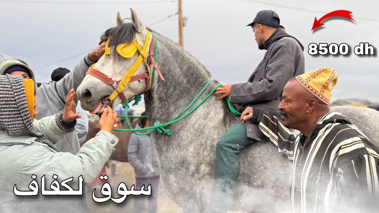 بعد غياب طويل سوق الكفاف اليوم كاين المليح وبادريس عطا في عود 6ونص وعندو همزة 😍
