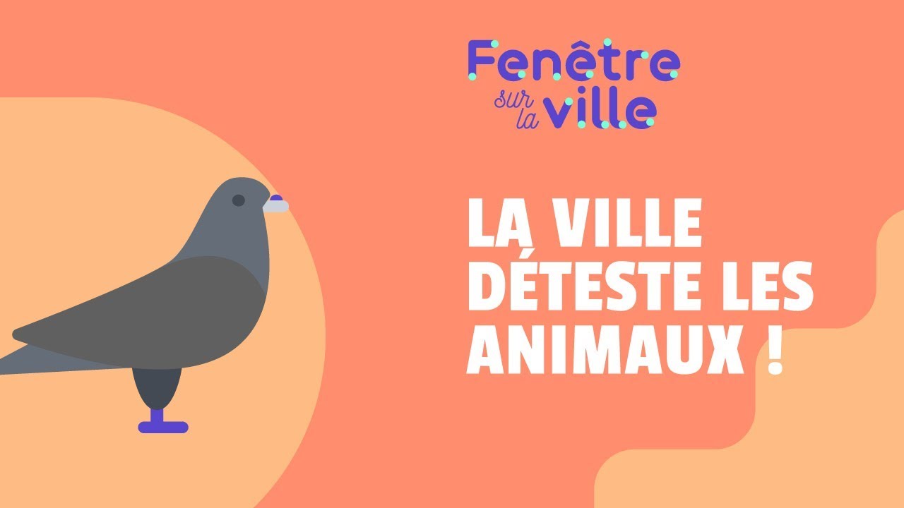 LA VILLE DÉTESTE LES ANIMAUX ?