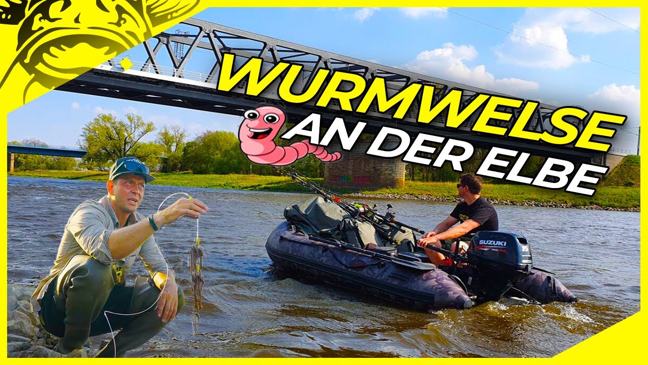 WELSANGELN an der ELBE mit WURMER | Techniken & Montagen | Welsangeln in Deutschland