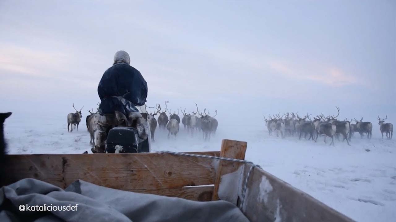 Guy Spends Day Living With Nomadic Community