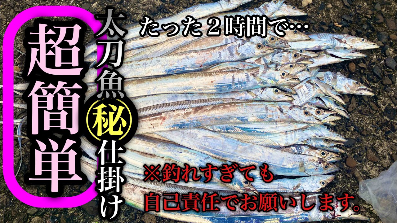 【爆釣】タチウオが簡単に釣れる仕掛けはコレだった！ 【和歌山】 #タチウオ #太刀魚