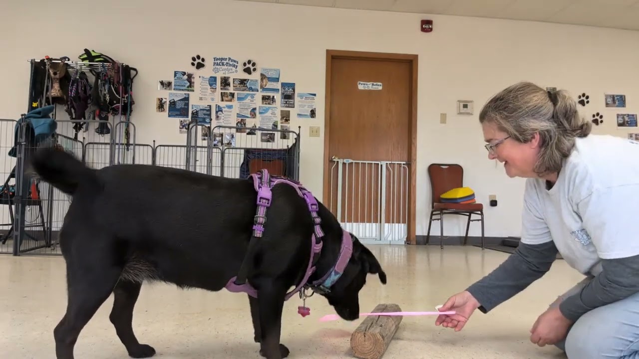 The Flip It Challenge