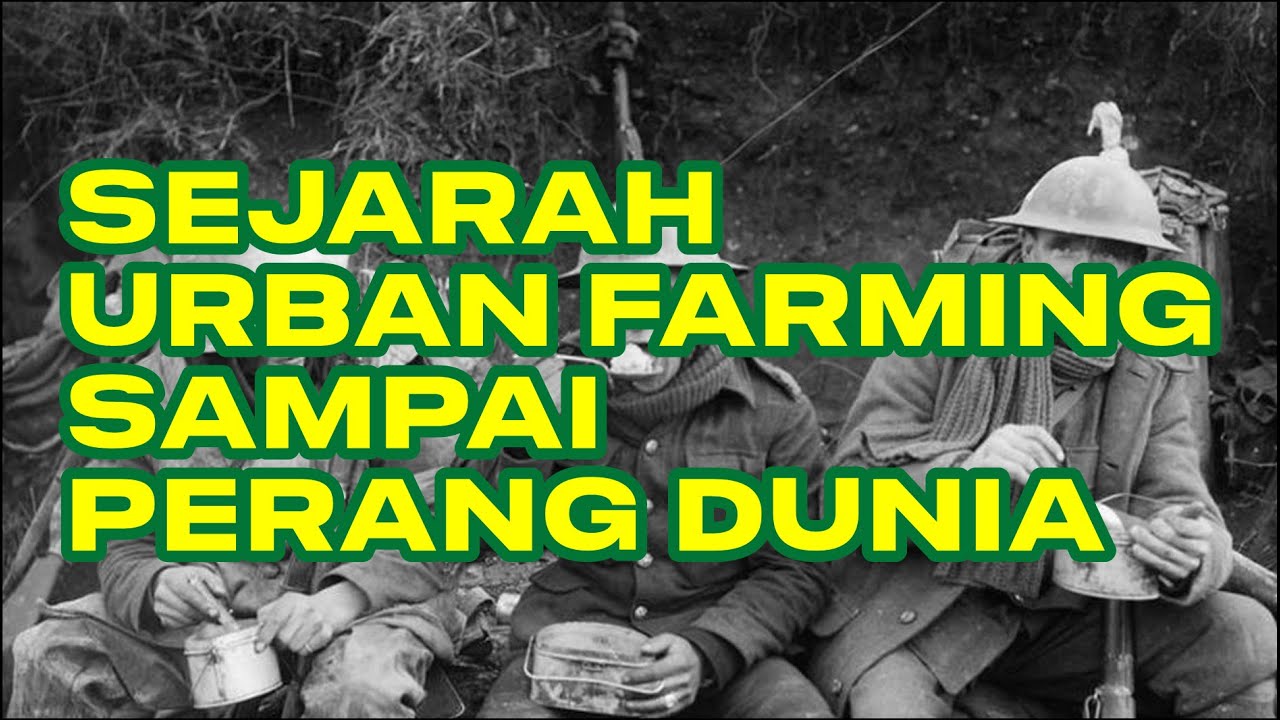 The History of URBAN FARMING from Ancient City Agriculture⁉️ #farmers #urbanfarmingindonesia