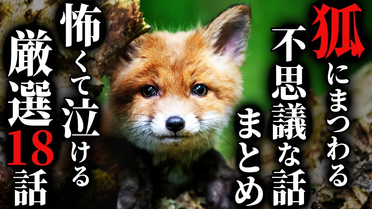 【怖い話】祟り神や守護神など『狐』にまつわるヤバい話…2chの怖い話「狐にまつわる厳選18話」【ゆっくり怪談】