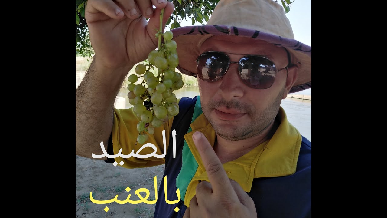 شاهد الصيد بالعنب في مياه النيل وسمكة البني والرد على بعض الأسئله حول الصيد بالغله أحمد الجمل وصيا