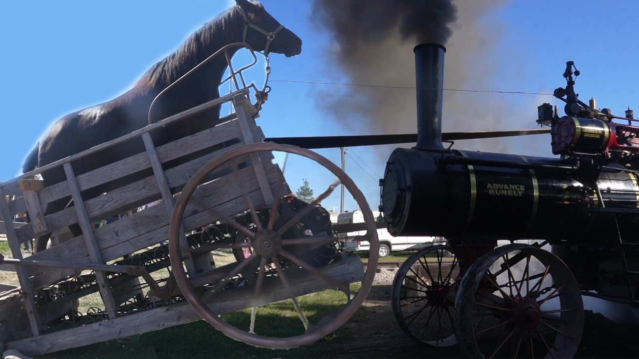 Horse and Steam Power at Old Thresher Reunion 2023