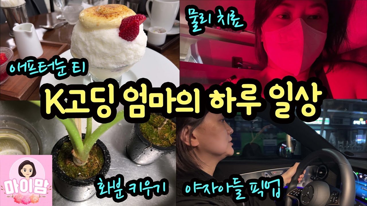 K고딩 엄마의 하루 일상 (아들도 키우고 식물도 키우고, 야자 아들 픽업까지 바쁘다 바빠) 마이맘 TV