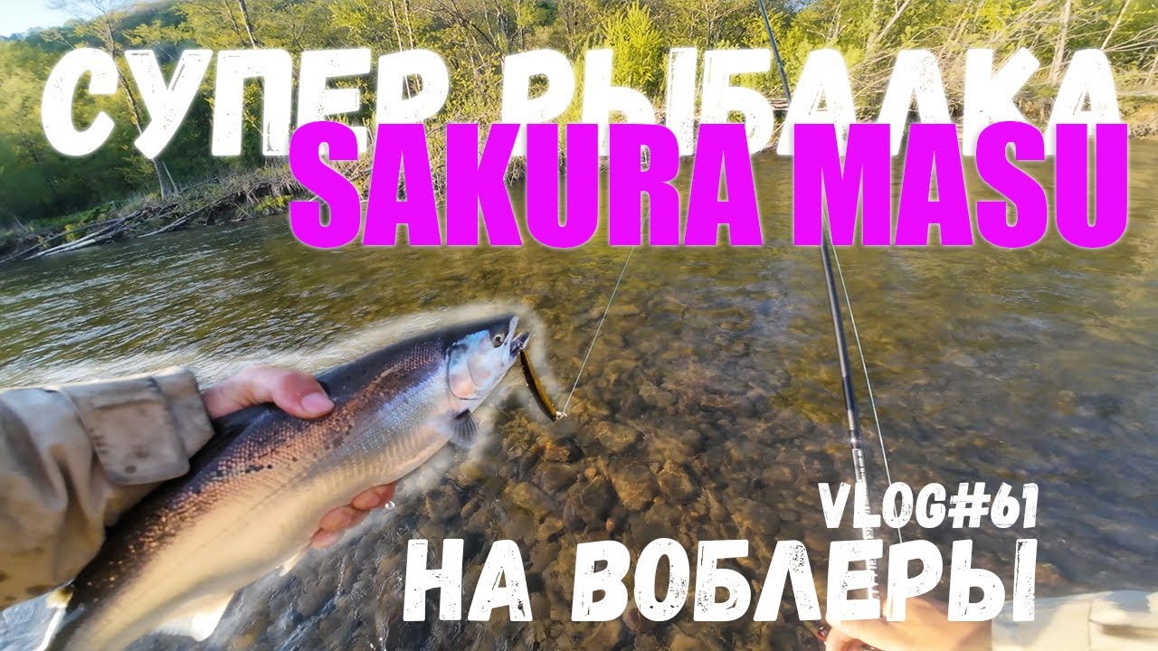 СИМОВОЕ СЧАТЬЕ ч1 | Воблеры в деле !