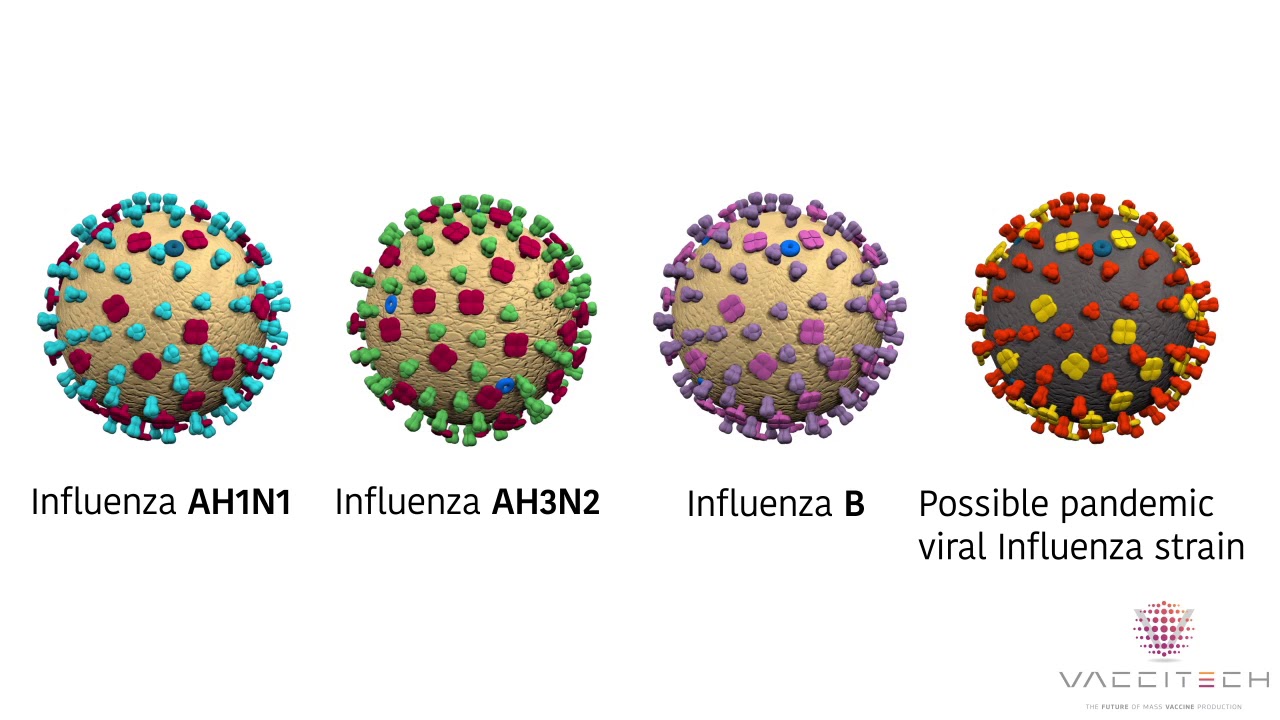 Vaccitech: The Future of Mass Vaccine Production