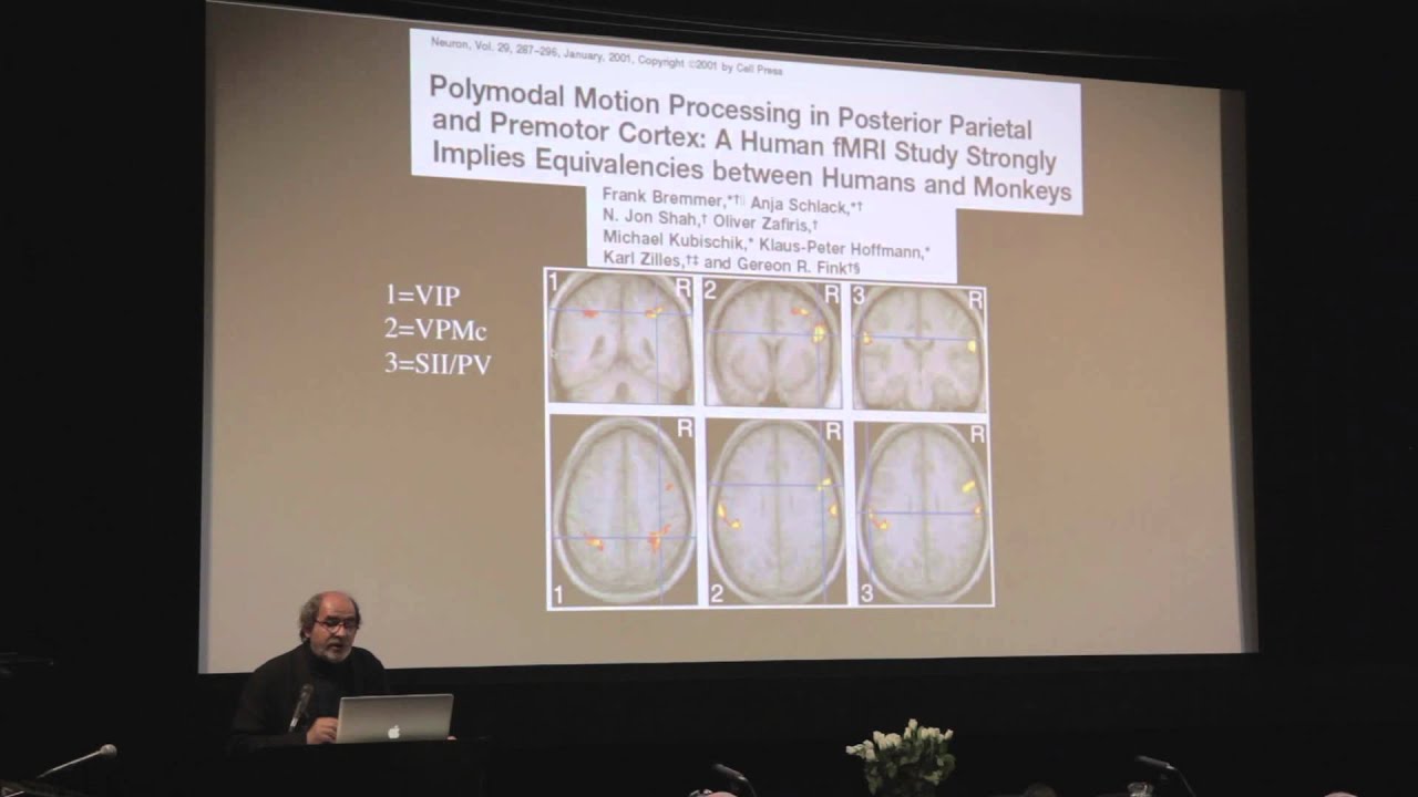 Vittorio Gallese's lecture: Architectural Space 'from within': The Body, Space and the Brain