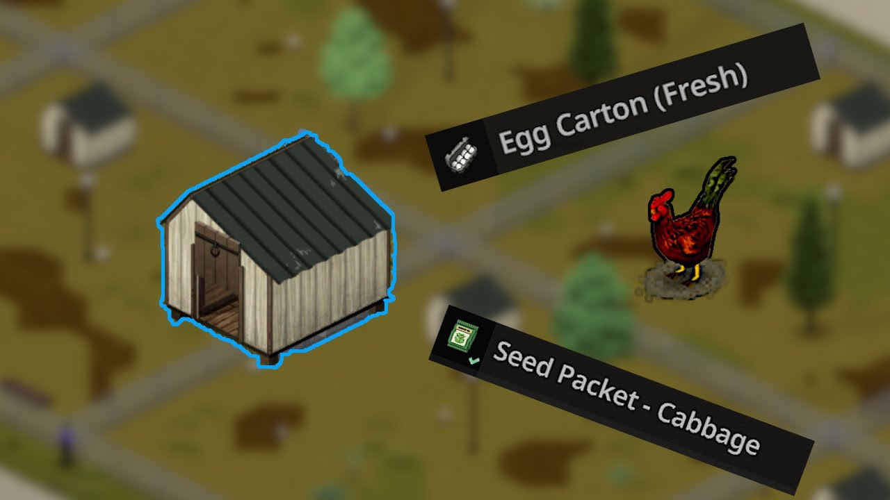 Thriving in Echo Creek : THE CHICKENING