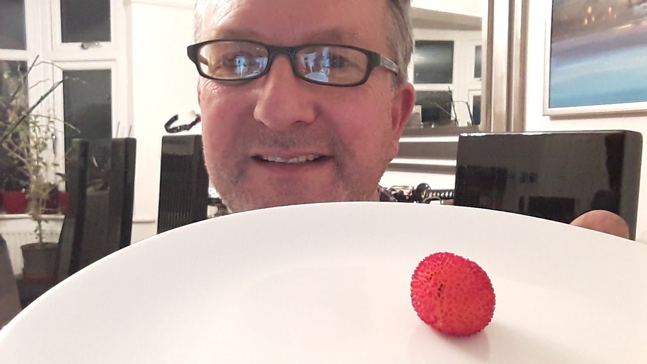 As requested, tasting the strawberry tree fruit ( Arbutus Unedo).