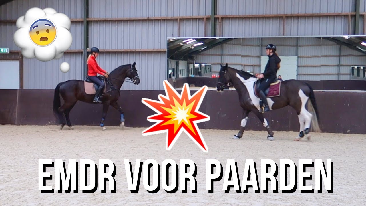 TRAUMA THERAPIE VOOR PAARDEN (ESDR): Grand prix paard bang voor tegenliggers...