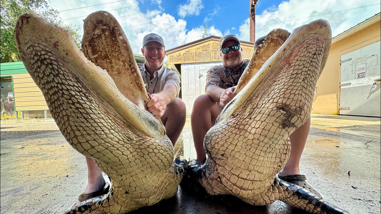 WOW!!! The most  INSANE way to catch a GATOR ever!!!