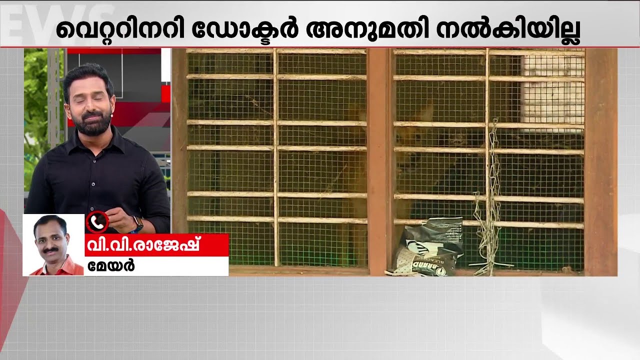 ജനുവരി മാസത്തിനുള്ളില്‍ നായകളെ മാറ്റും, നടപടികളാരംഭിക്കും - വി.വി.രാജേഷ്, മേയര്‍