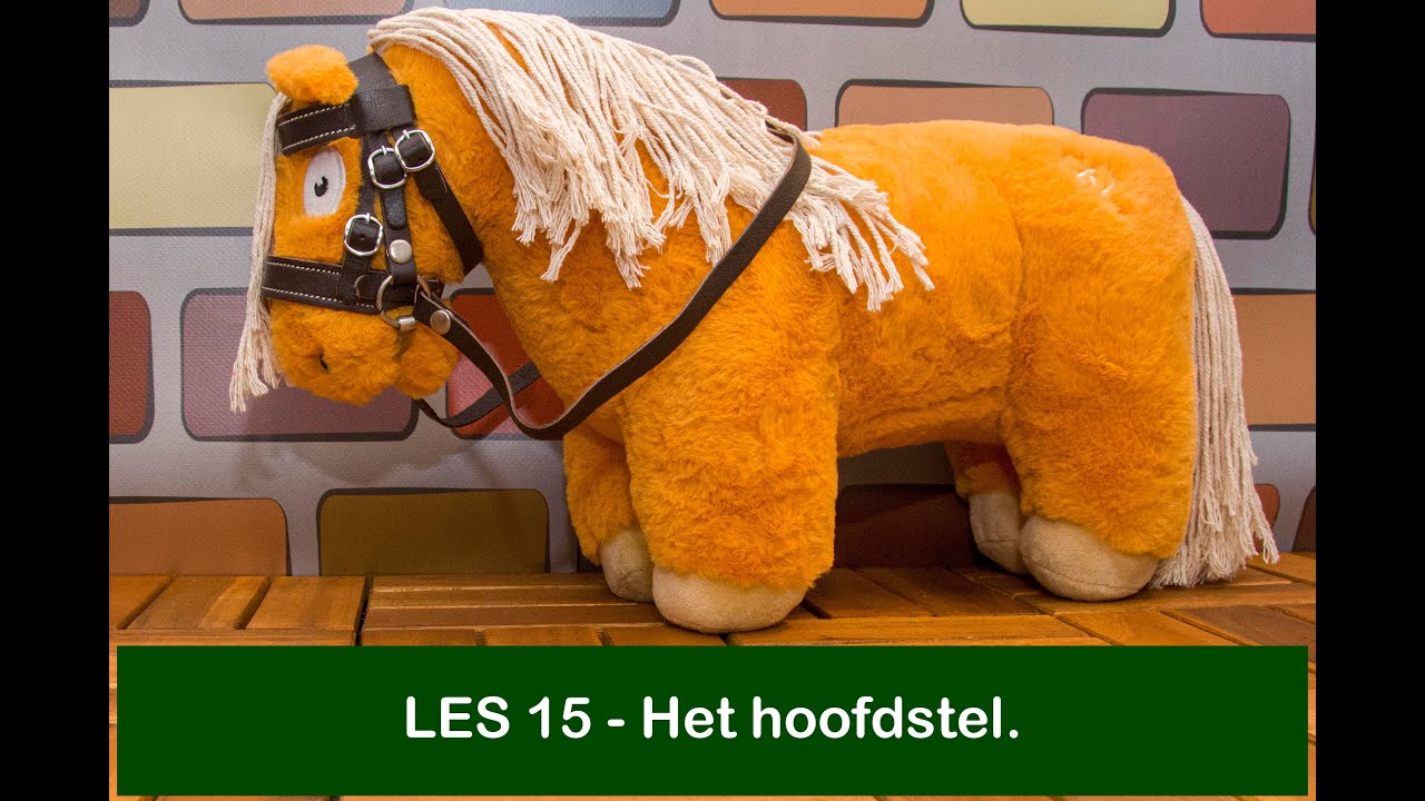 Crafty Ponies Ponyclub Paardrijles 15 - Het hoofdstel.