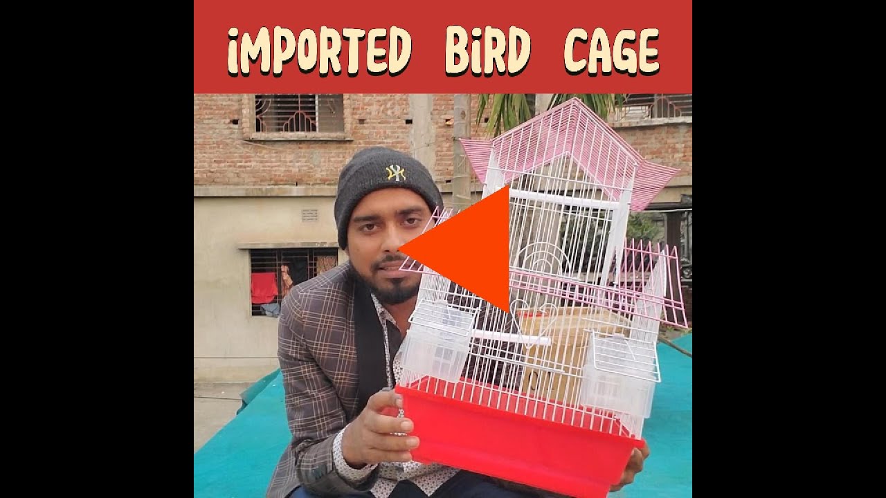 যেভাবে imported bird cage setup করবেন।bird case
