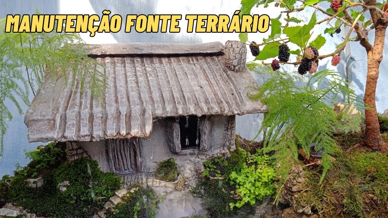 Atualização Depois de 1 Ano!!! Porque 