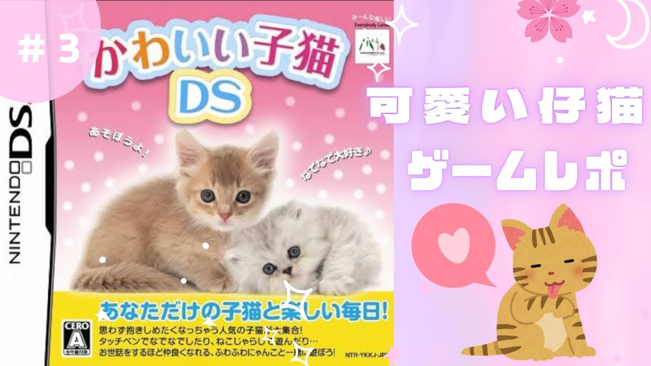 【三日目】可愛い仔猫DS 平成レトロゲーム