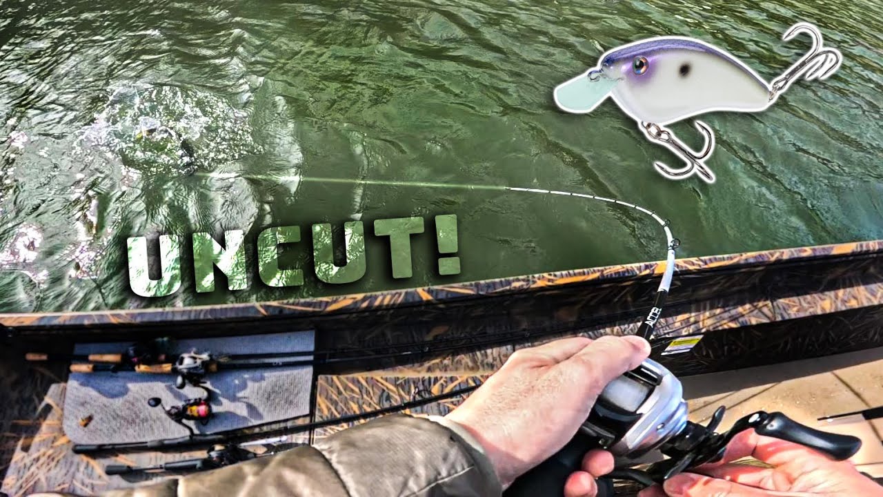 Uncut Winter Fishing Day With NEW Lure! (Crankbait Fishing Tips)